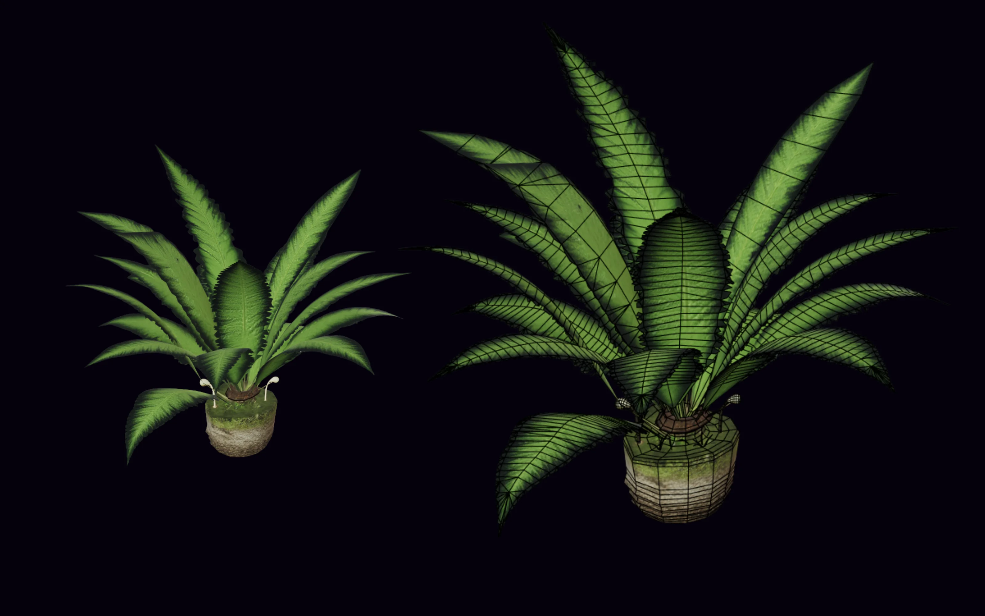 A green fern plant in a mossy stone pot, shown textured and with its wireframe topology in PicoBerry
