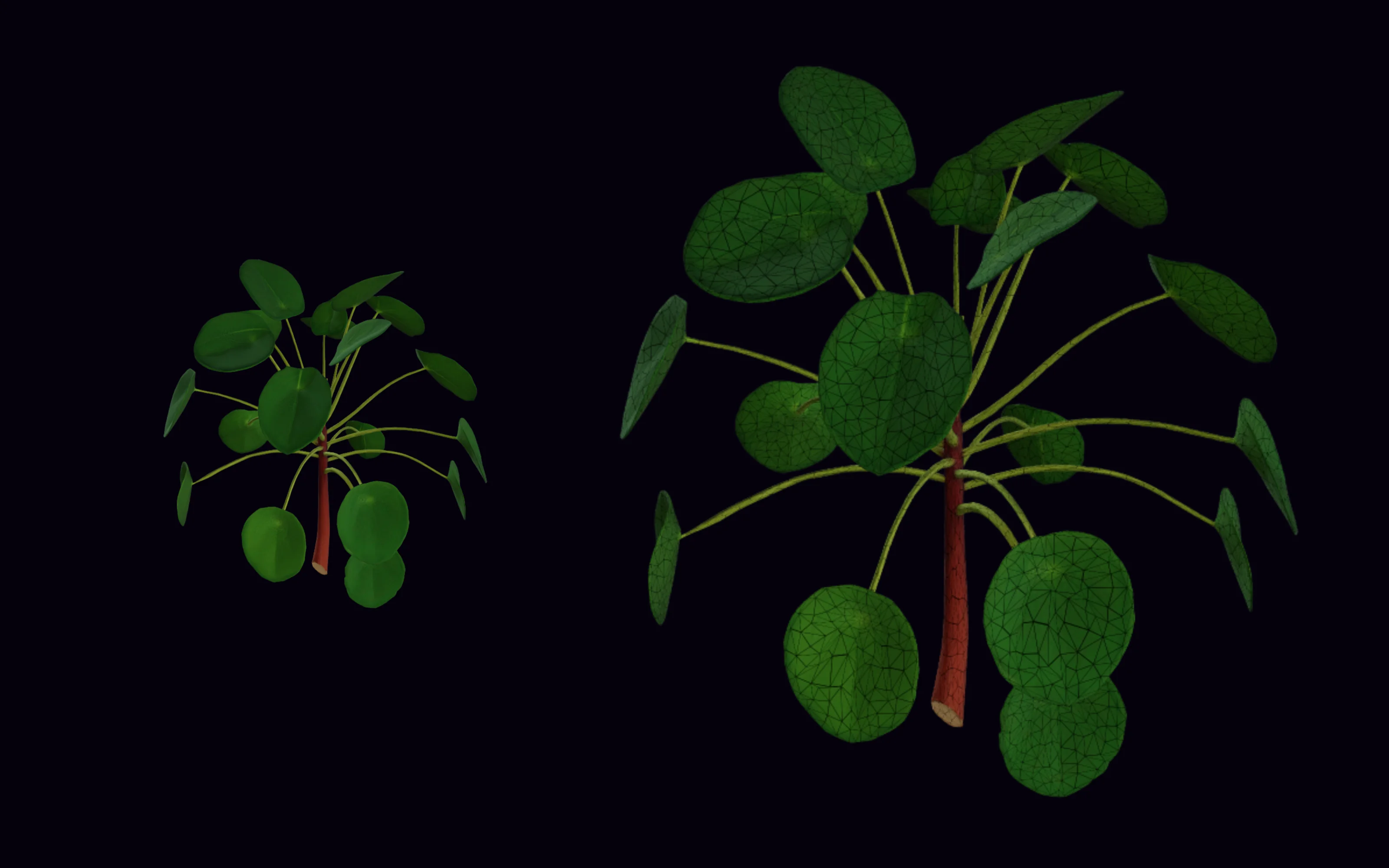 A round-leaved money plant with a red stem, shown textured and with its wireframe topology in PicoBerry